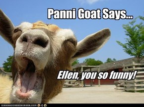 Panni Goat Says...