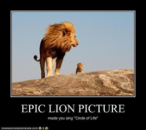 EPIC LION PICTURE