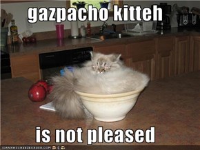 gazpacho kitteh  is not pleased