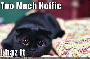 Too Much Koffie  I haz it