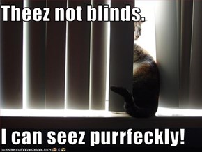 Theez not blinds.  I can seez purrfeckly!