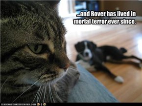 ...and Rover has lived in mortal terror ever since.