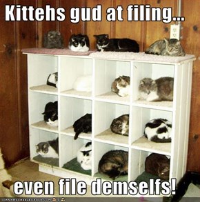 Kittehs gud at filing...  even file demselfs!