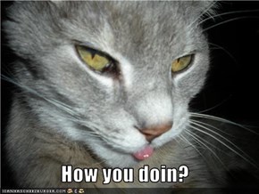 How you doin?