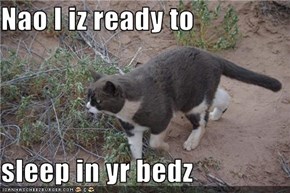 Nao I iz ready to   sleep in yr bedz