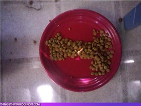 I think the kitties are trying to tell us something...