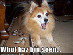 Whut haz bin seen...