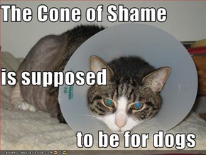 The Cone of Shame is supposed to be for dogs