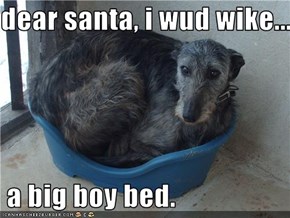 dear santa, i wud wike...   a big boy bed.