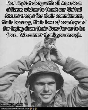 Dr. TinyCat along with all American citizens wishes to thank our United States troops for their commitment, their bravery, their love of country and for laying down their lives for us to be free.  We cannot thank you enough.