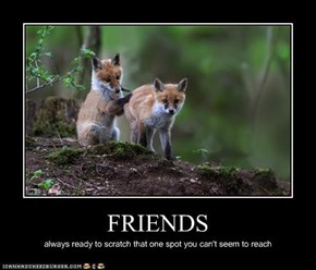 FRIENDS