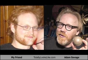 My Friend Totally Looks Like Adam Savage