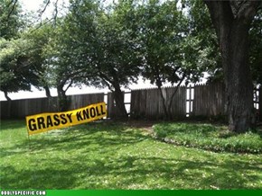 THE Grassy Knoll