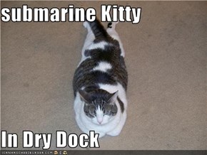 submarine Kitty  In Dry Dock