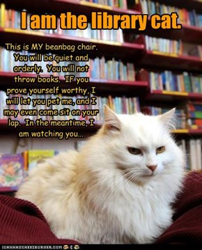 Librarian cat rules!