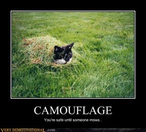 CAMOUFLAGE