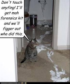 Don't touch anyfing! I'll get mah forensics kit and we'll figger out who did this.