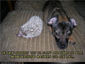 bad squeaky toy 