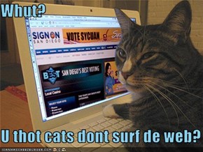 Whut?  U thot cats dont surf de web?