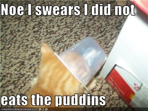 Noe I swears I did not   eats the puddins