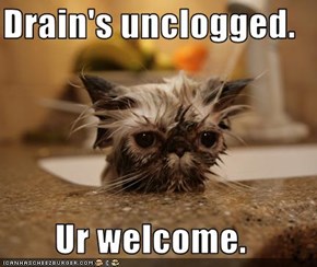 Drain's unclogged.  Ur welcome.