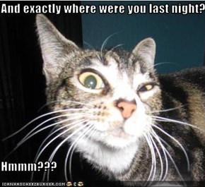 And exactly where were you last night?  Hmmm???