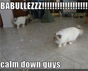 BABULLEZZZ!!!!!!!!!!!!!!!!!!!!!!!!!!!!!!!!!!  calm down guys