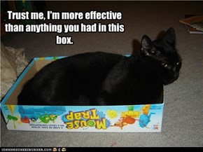 Trust me, I'm more effective than anything you had in this box.