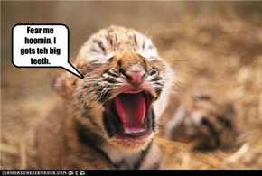 Fear me hoomin, I gots teh big teeth.