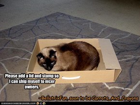 Please add a lid and stamp so I can ship myself to nicer owners.