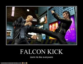 FALCON KICK