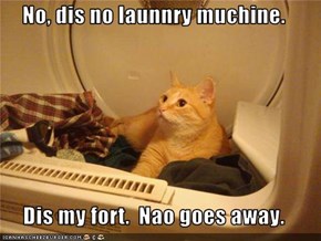 No, dis no launnry muchine.  Dis my fort.  Nao goes away.