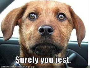 Surely you jest.