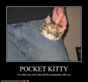 POCKET KITTY