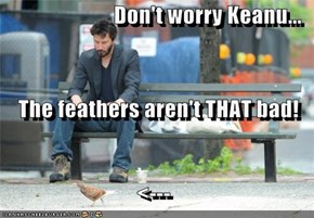Don't worry Keanu... The feathers aren't THAT bad! <---