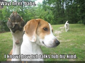 Wayt heer, babe.  I knowz how tuh talks tuh hiz kind.
