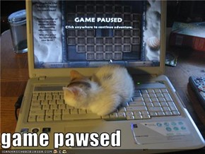 game pawsed