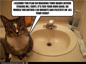 I ASSUME YOU PLAN ON WASHING YOUR HANDS BEFORE FEEDING ME, I HOPE. IT'S FOR YOUR OWN GOOD. OR WOULD YOU RATHER I GO URINATE AND FECITATE ON  ALL YOUR FOOD?