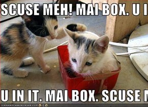SCUSE MEH! MAI BOX. U IN IT  U IN IT. MAI BOX. SCUSE MEH!