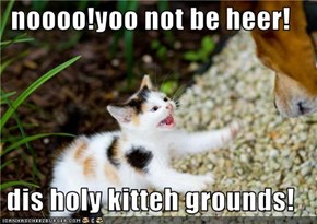 noooo!yoo not be heer!  dis holy kitteh grounds!