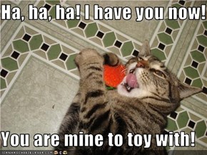 Ha, ha, ha! I have you now!  You are mine to toy with!
