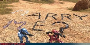Halo Proposal