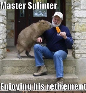Master Splinter  Enjoying his retirement