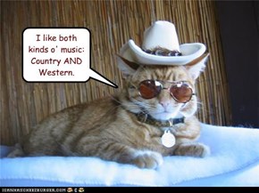 I like both kinds o' music:  Country AND Western.