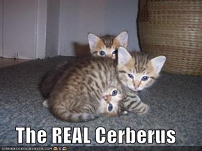 The REAL Cerberus