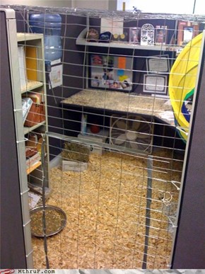 Hamster Cage