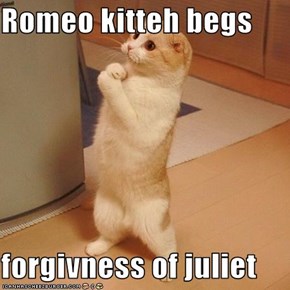 Romeo kitteh begs  forgivness of juliet