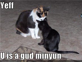 Yeff  U is a gud minyun