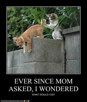 EVER SINCE MOM ASKED, I WONDERED