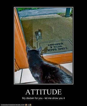 ATTITUDE